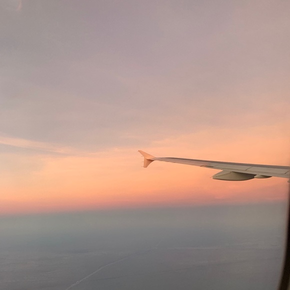 Meet your Posher, Daniela - Picture 2 of 2